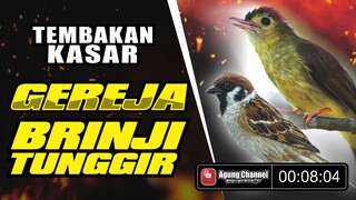 🔴MASTERAN SUARA KASAR‼️GEREJA KOMBINASI BRINJI TUNGGIR