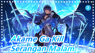 Akame Ga Kill|Semoga kau menikmati ini! Penghargaan untuk Serangan Malam!_2