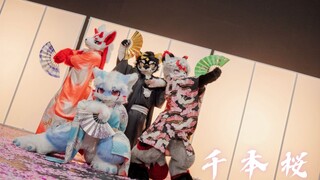 绝美兽兽舞团·千本桜