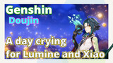 [Genshin,  Doujin]A day crying for Lumine and Xiao