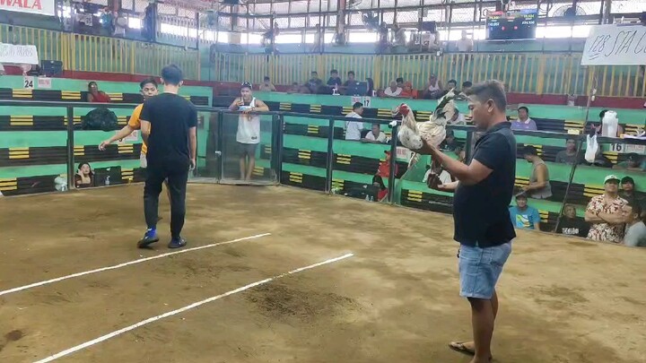 NDC 1st figth Sta. Clara white kelso