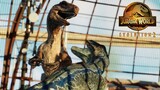 Blue vs Red - Jurassic World Evolution 2 [4K]