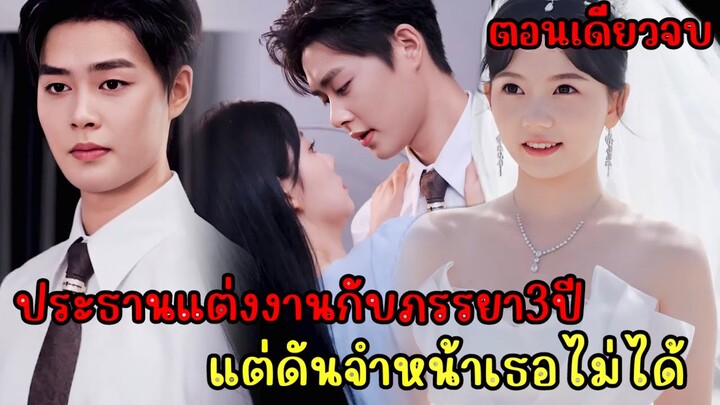 เมื่อประธานสุดหล่อแต่งงานมา3ปีแต่ดันจำหน้าเมียไม่ได้|สปอยซีรี่ส์สั้น|ตอนเดียวจบ