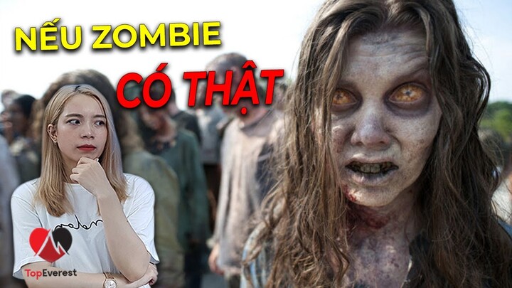 Chuyện Gì Sẽ Xảy Ra Nếu ZOMBIE Có Thật? Bí Kíp Sống Còn Qua Đại Dịch Xác Sống