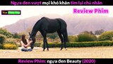 Chú Ngựa vượt Ngàn Khó Khăn để về Bên Chủ Nhân - Review phim Chú Ngựa Đen Beauty