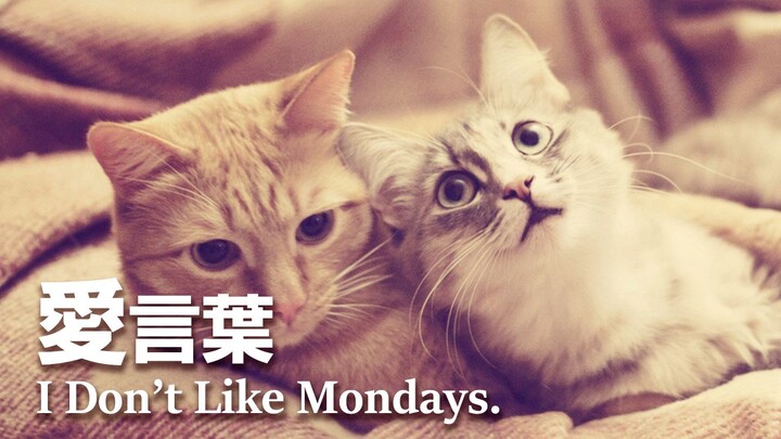 【一卷悠】愛言葉 / I Don't Like Mondays. (爱的话语)【清唱】