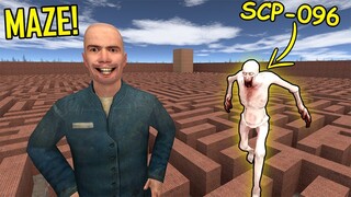 Never Go To Maze With SCP-096