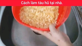 làm tàu hũ tại nhà