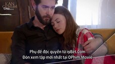 Hoa Máu EP 229 [Sub Việt]