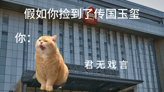 玉玺小猫