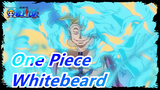 [One Piece] "The Whitebeard You've Never Seen" / All Memembers of the Group Mashup