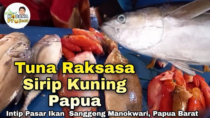 Papua yellowfin giant tuna || tuna raksasa sirip kuning papua || Intip pasar sanggeng Manokwari