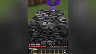Đụng nhầm chủ server 😂 | TMC:  minecraft fyp xuhuong toanmc clownsmcteam TikTokGGVN CamNangGameThu
