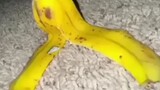 kisah kulit pisang