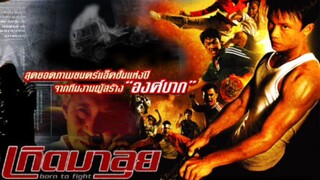 เกิดมาลุย | Born To Fight (2004) HD