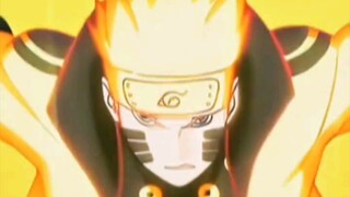 Team7