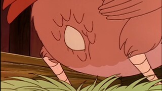 Old hen laying eggs animation