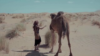 Relaxing yet mysterious music set to beautiful Middle Eastern scenery and camels!