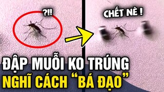 Đập muỗi hoài 'KHÔNG TRÚNG', thanh niên áp dụng ĐỊNH LUẬT VẬT LÝ và cái kết OUT TRÌNH | Tin 3 Phút