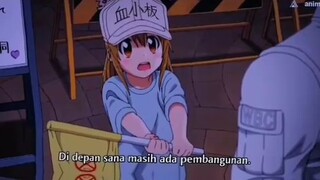 Di Hadang loli Kawai🤤🤤🤤(Sudah Mulai Tayang Di TV)