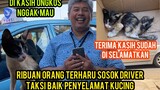 Mengharukan Kisah Anak Kucing Lumpuh Di Yang Selamatkan Supir Taksi Di Bandara Soekarno Hatta..!