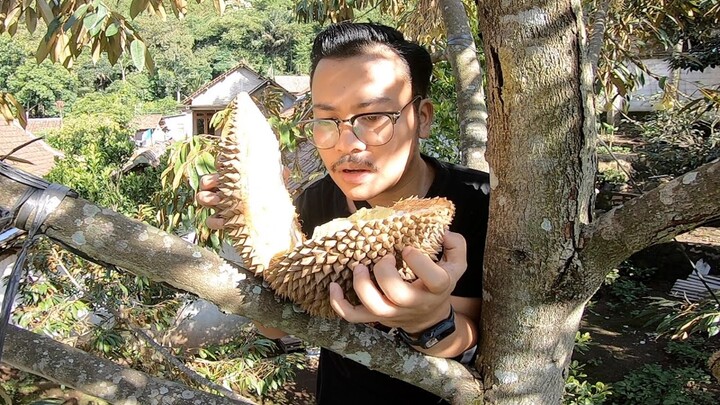 NEK4T ! BELAH DAN MAKAN DURIAN DI ATAS POHON LANGSUNG #biyanslamvlog #biyanslam #panendurian