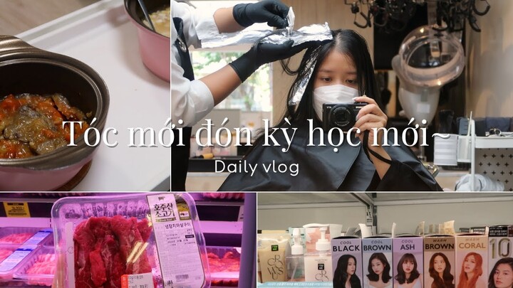TÓC MỚI ĐÓN KỲ HỌC MỚI | daily vlog + hair salon + cooking~ | Du học Hàn | Ly Nguyễn