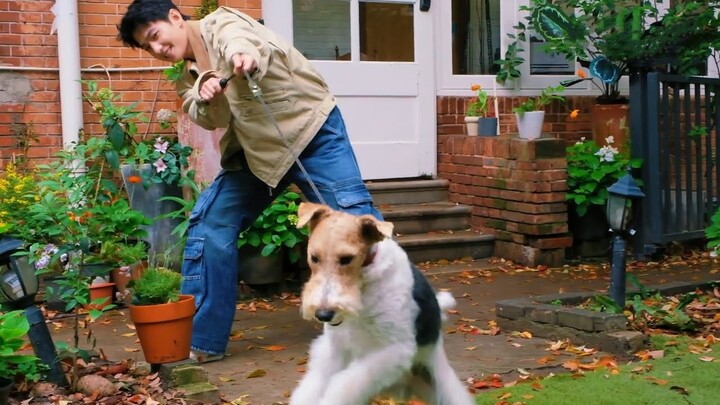 Yang Yang × Courtyard adventures🐶🍃