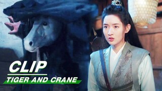 Xintong Fights Against Bo Yao | Tiger and Crane EP10 | 虎鹤妖师录 | iQIYI