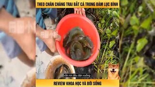 Theo Chân Chàng Trai Bắt Cá Trong Đám Lục Bình-Review Con Người Và Cuộc Sống