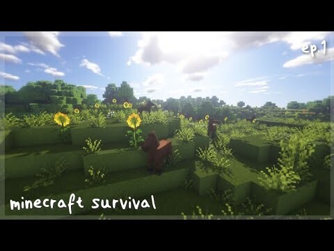 minecraft survival | ransacking a village |  ep.1