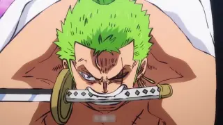 Waited 20 years! Zoro has also begun to abuse people, getting closer and closer to his dream