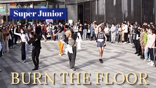 【Super Junior】Burn The Floor 随唱谁跳南京第三次KPOP随机舞蹈
