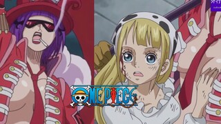 One Piece Special #204: The Revolutionary Army's True Intentions