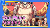 One,Piece ,Fighting！_1