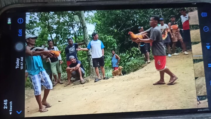 malatuba gold...naunahan pero bumawi💪solid