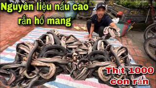 Thịt 1000 Con Rắn Hổ Mang Làm Nguyên Liêu Nấu Cao Rắn | Săn Bắt Ẩm Thực Vùng Cao