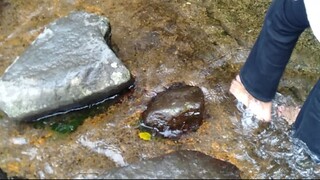 VID20220116145256