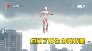 【雷欧桑】野生奥特曼实录