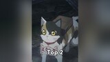 Top 6 những con mèo đc yêu thích nhất trong anime ( ý kiến riêng ) mong hết bị flop xuhuong tươngtac mèo anime