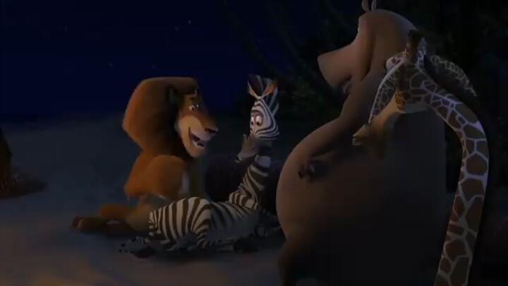 DreamWorks Madagascar Alex_and_ Marty_ best friends