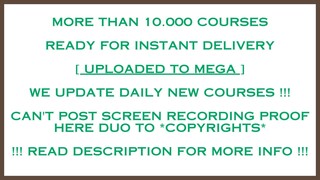 1tb+ Trading Courses Premium Torrent