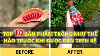 TOP 10 SỰ THẬT VỀ CÁC SẢN PHẨM TRƯỚC KHI XUẤT HIỆN TRÊN KỆ HÀNG BÀY BÁN