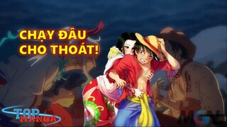 Những cặp đôi được đẩy thuyền nhiều nhất One Piece