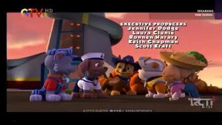 Paw patrol Musim 5 Episode 16 Bahasa Indonesia Global TV