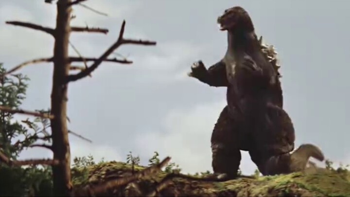 ดีหรือชั่ว - การวิเคราะห์ที่ครอบคลุมของ Showa Godzilla (ตอนที่ 1)