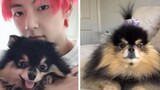 V Responded Immediately after Seeing Yeontan’s Twin Sister