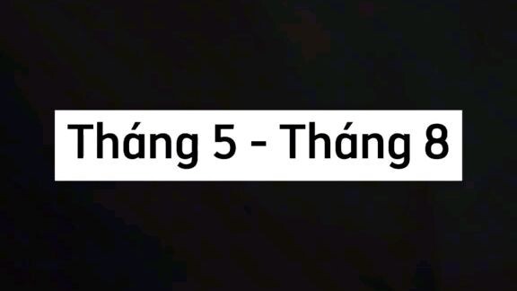 12 tháng sinh