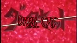 Dark Cat 1991 Full Movie. English Dub