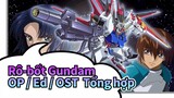 [Rô-bốt Gundam/Không phụ đề] Rô-bốt Gundam Seed/Seed Destination OP/ Ed / OST  Tổng hợp_F